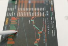 digital marketing portfolio development