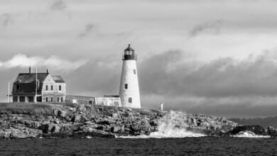 lopulgunzer benefits and drawbacks