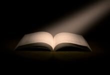 profile highlight feature showcase