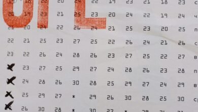 integrated information structure identifiers