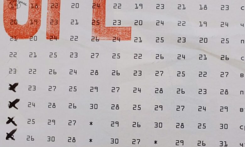 integrated information structure identifiers