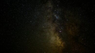 cosmic hub 657131394 nexus