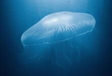 cosmic technology exploration journey