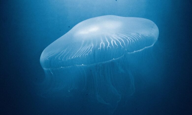 cosmic technology exploration journey