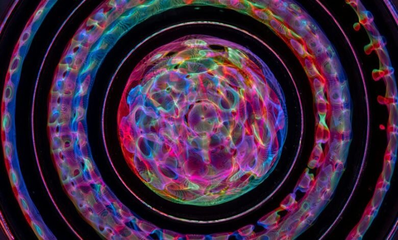 digital wave fusion apex