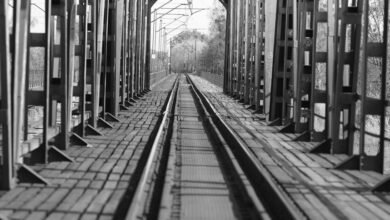 omega track market beam