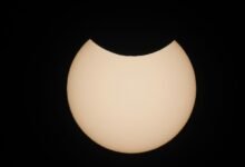 solar growth node 902113981